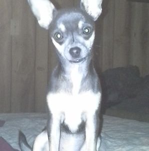 Meet your Posher, Danny